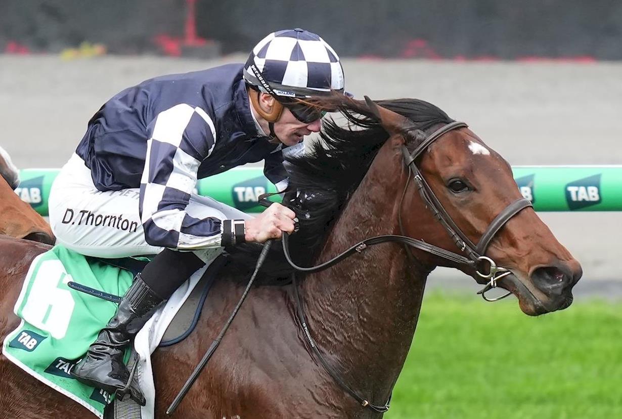 O'BRIEN DEBUTANT PROVES THEORY WORKS